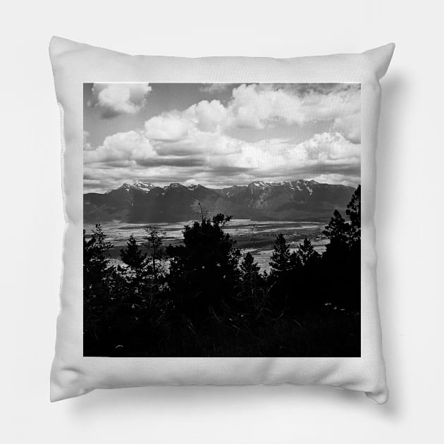 National Bison Range, Montana Pillow by rodneyj46