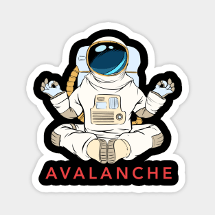 Avalanche  Crypto Cryptocurrency AVAX  coin token Magnet