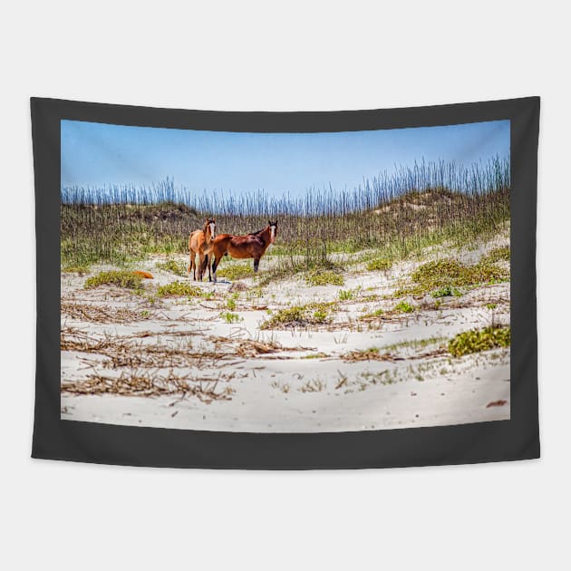 Wild Horses at Cumberland Island National Seashore Tapestry by Gestalt Imagery