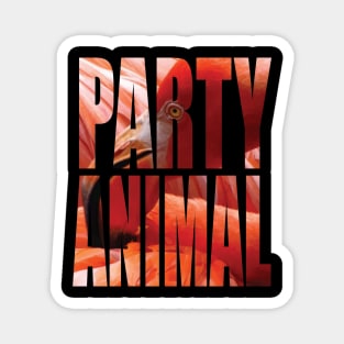 Party Animal Flamingo Magnet