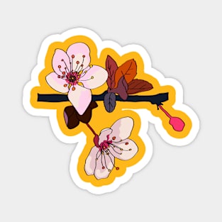 Sakura Cherry Blossoms Magnet