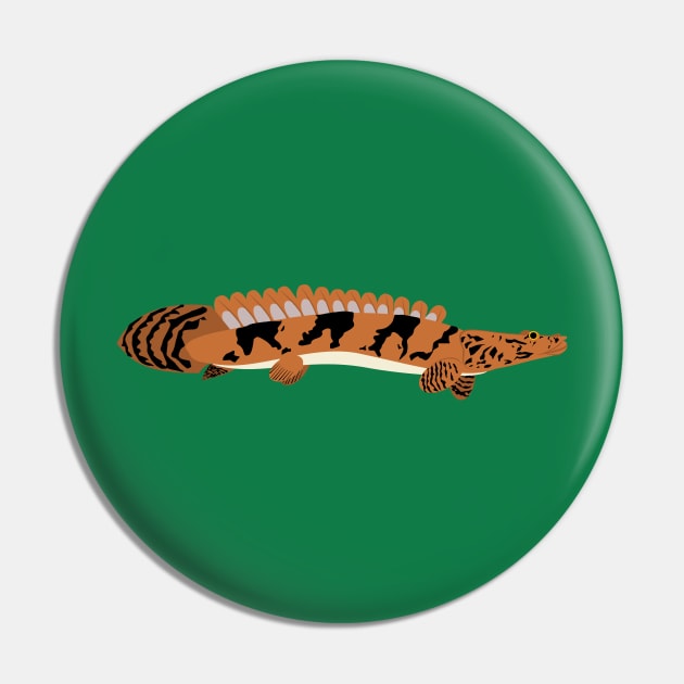 Saddled Bichir Pin by stargatedalek