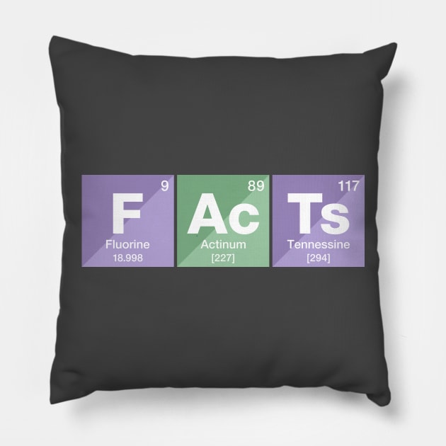 Facts Pillow by Brianers