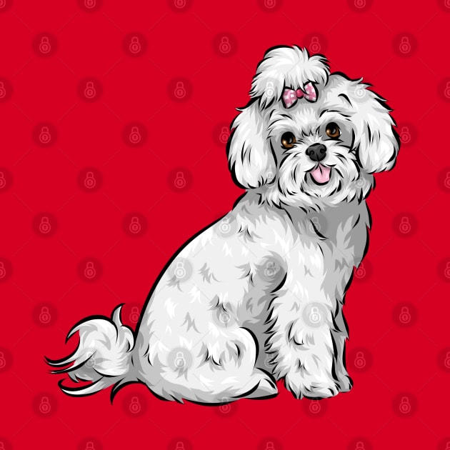 Cute Maltese Dog by Shirin Illustration