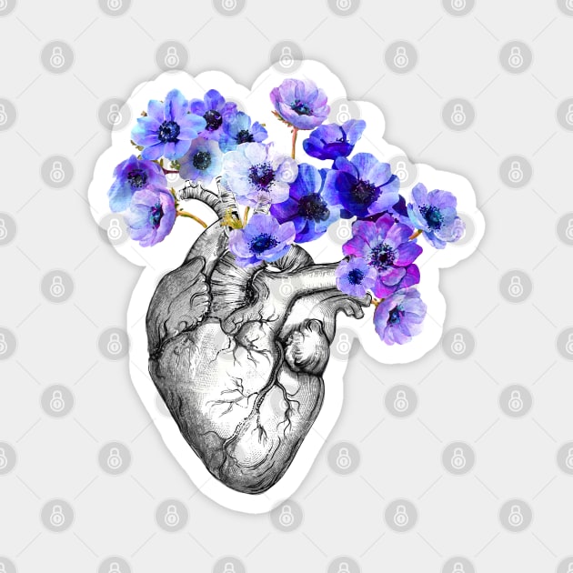 Blue Anemones Heart Human Anatomy Magnet by Collagedream