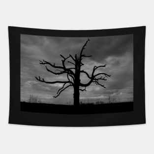 Creepy Tree Tapestry