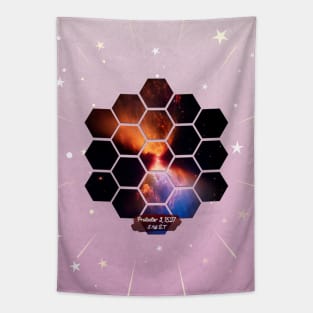 Protostar L1527: James Webb Space Telescope V02 Tapestry