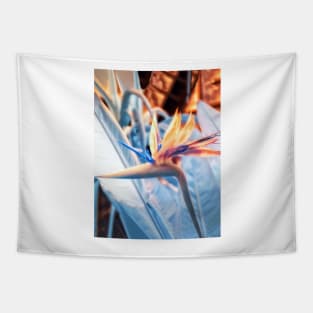 Strelitzia in Infrared Tapestry