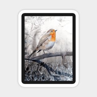 Winter robin redbreast painting Magnet