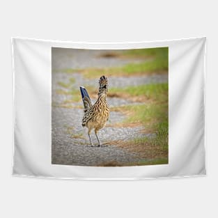 One Very Surprised  Roadrunner by Debra Martz Tapestry