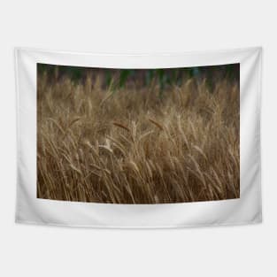 Country Kansas Wheat Field Tapestry