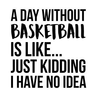 A Day Without basketball T-Shirt