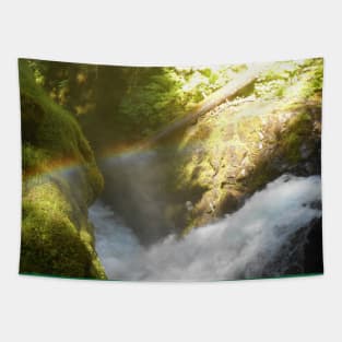 Rainbow Sol Duc Falls Nature Photography Pacific Northwest Tapestry