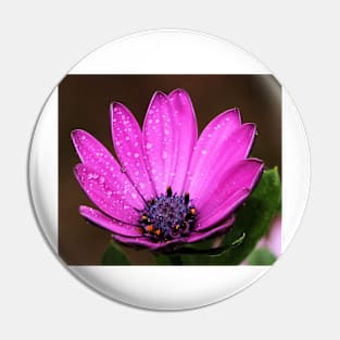 Purple Daisy Pin