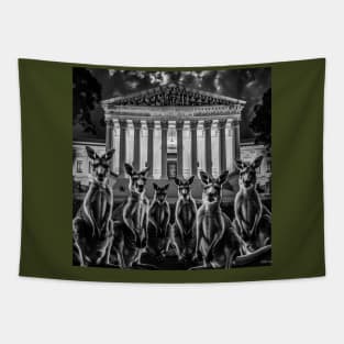 Supreme Court - SCOTUS IS A Kangaroo Court - Robin Fader - Back Tapestry