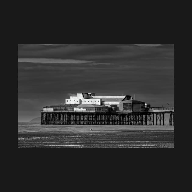 Blackpool pier(B&W) by jasminewang