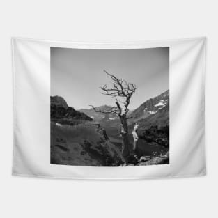 Glacier National Park Deadwood Tree Tapestry