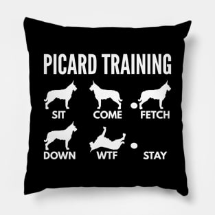 Picard Training Berger Picard Tricks Pillow