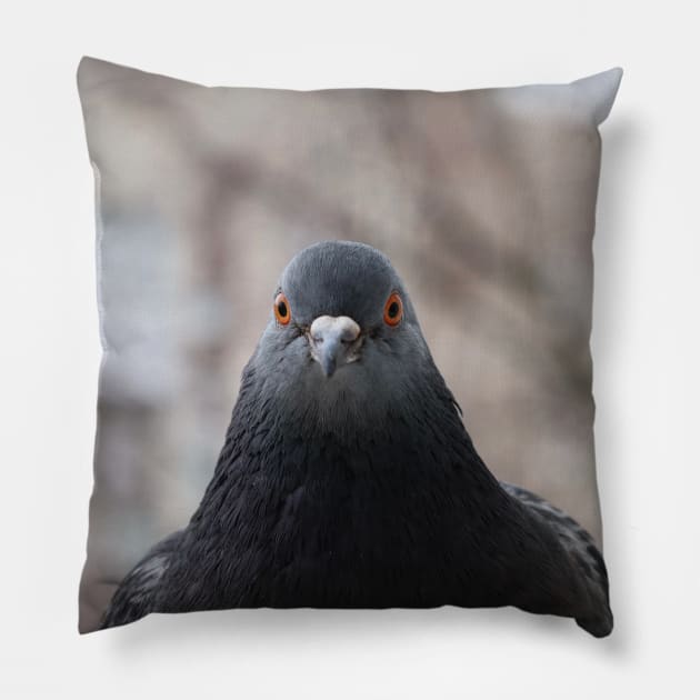 Pigeon Pillow by human_antithesis