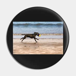 Dog &ball- Filey, Pin