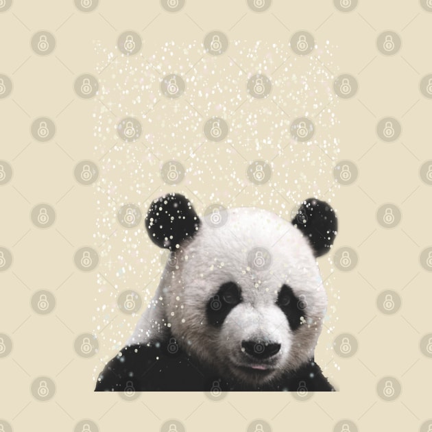 Cuteness Overload Panda Snow by LanaBanana