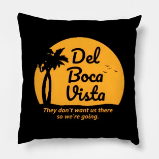 Seinfeld Del Boca Vista Retiret Community Pillow