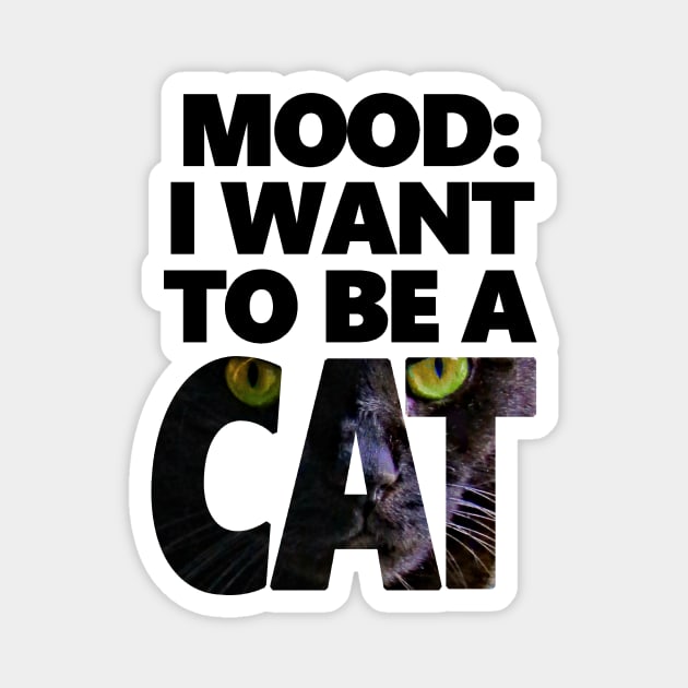 I Want To Be A Cat - Huey Version Magnet by Rainy Day Dreams