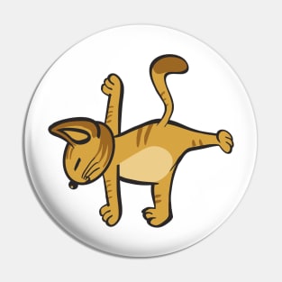 Cat In Different Yoga Poses Pin