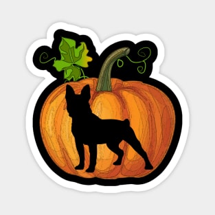 Boston terrier in pumpkin Magnet