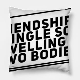 Friendship is a single soul dwelling in two bodies. Pillow