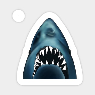 The Shark! Magnet