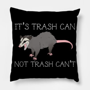 Possum Motivation Pillow