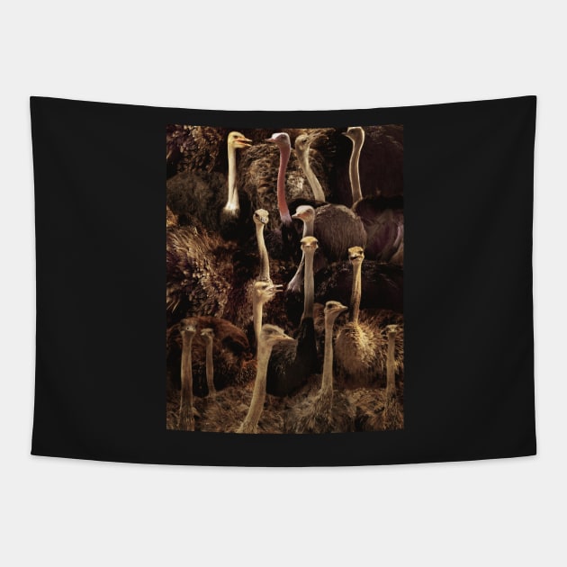 Ostriches Tapestry by MaxencePierrard