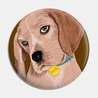 Curious Beagles Pin