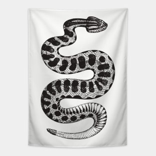 Vintage Rattlesnake Tapestry