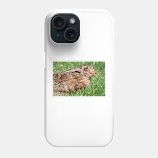 Brown Hare sat in the Grass Phone Case