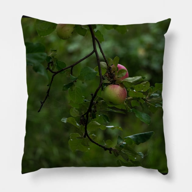 Apple a day. Pillow by CanadianWild418