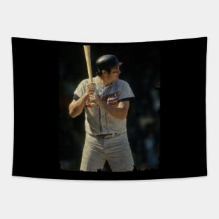 Brooks Robinson in Baltimore Orioles Tapestry