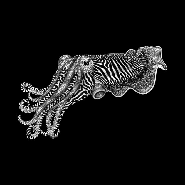 Cuttlefish by Tim Jeffs Art