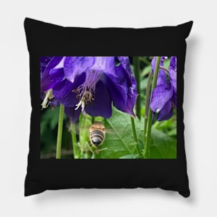 Columbine with flying Honey Bee Pillow