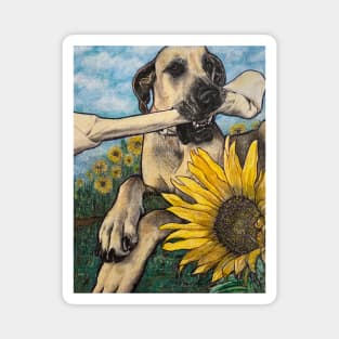 Memphis’ Field of Puppy Dog Dreams Magnet