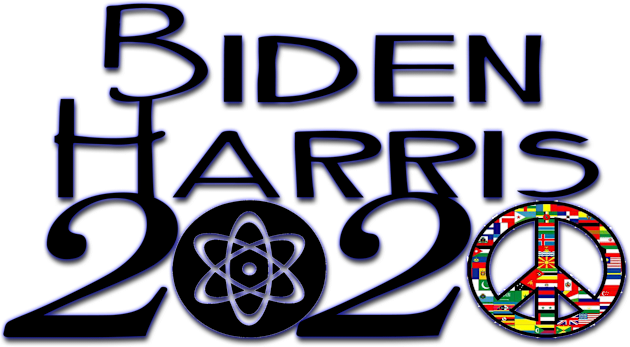 Biden Harris 2020 Kids T-Shirt by JenStedman73