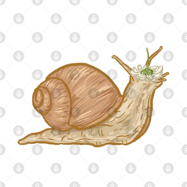 Snail with a Daisy on it's Head by Jewelia