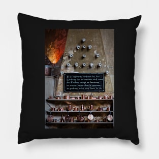 Burghley5 Pillow