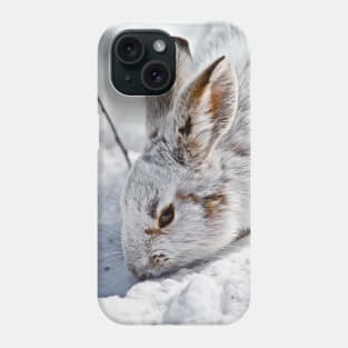 Snow Shoe Hare Phone Case