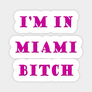 Miami Magnet