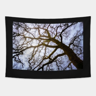 Leaning Tree Skeleton Tapestry