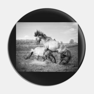 Horsepower in black & white Pin