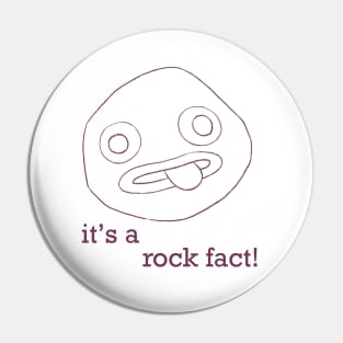 rock fact! Pin