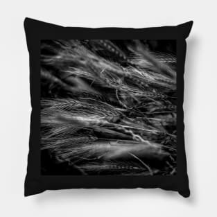 Scrubland Grass Abstract Pillow